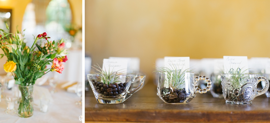 espresso beans and air plants as party favors