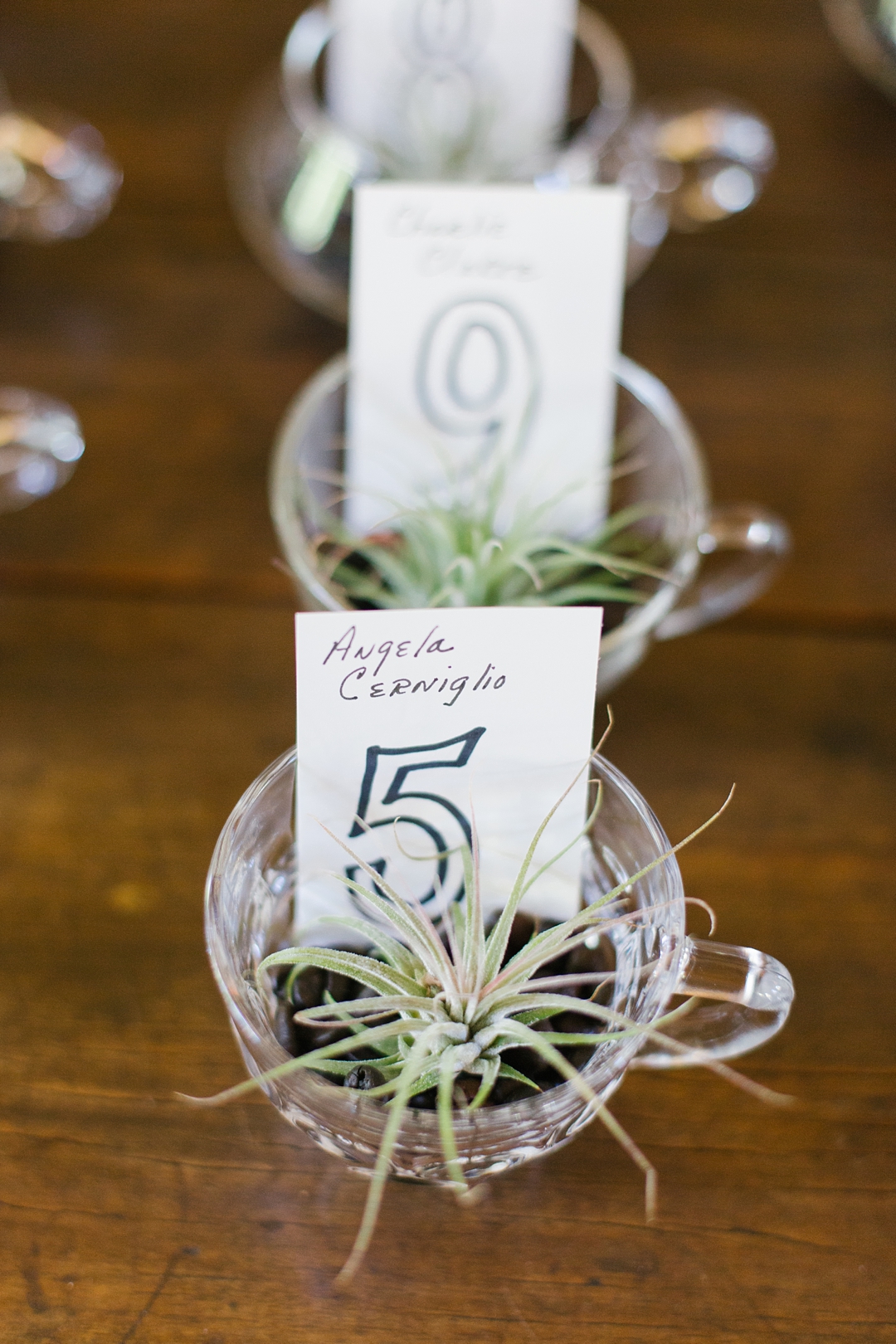wedding detail photo of air plant party favors