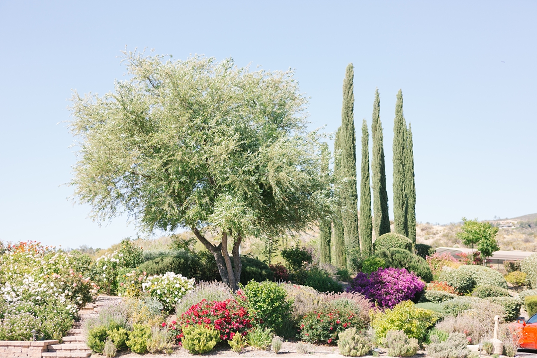 gorgeous flowers and scenery from this temecula venue
