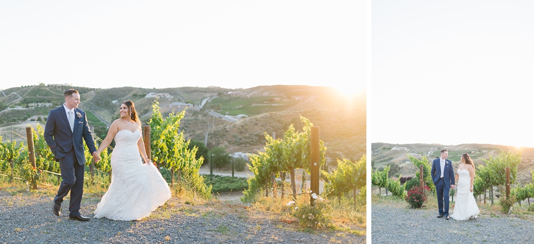sunset in the vineyard at gershon bachus vintners wedding