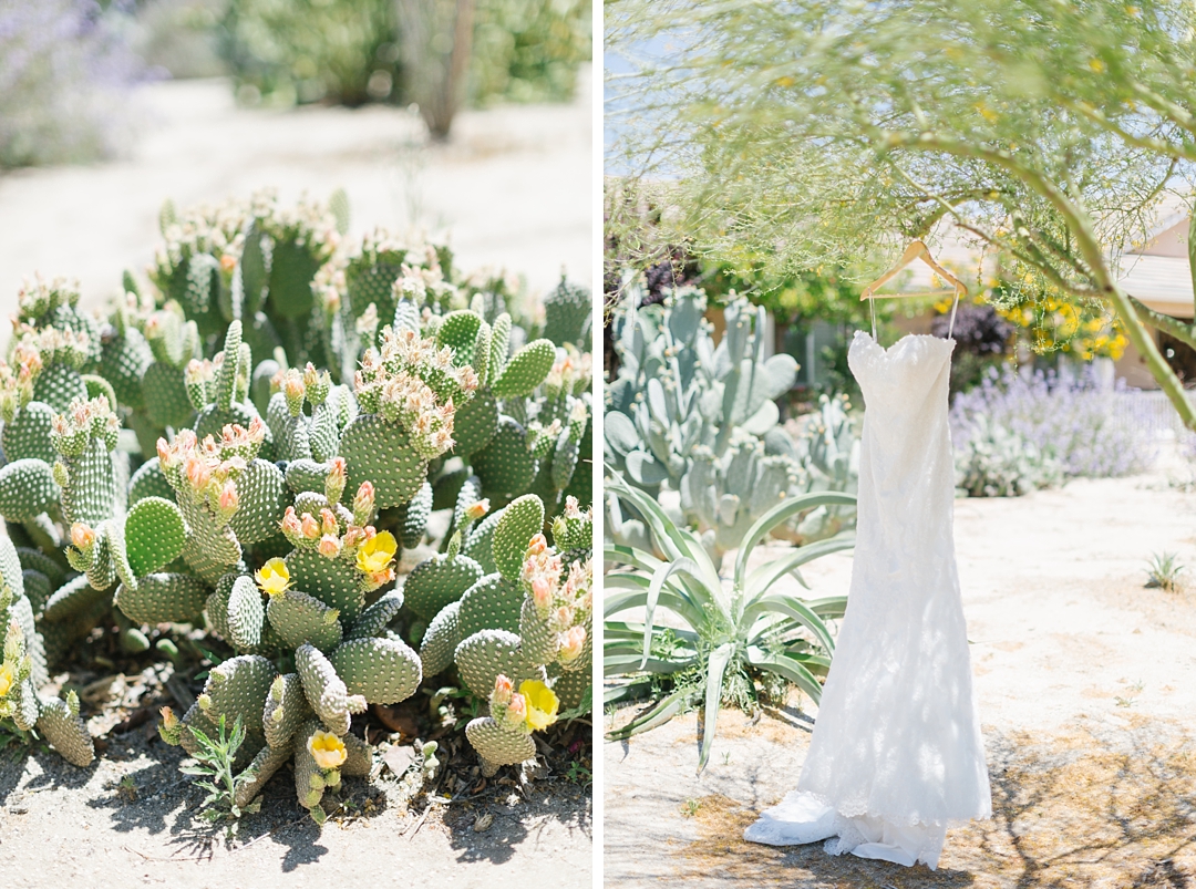 bride's dress hanging on tree in temecula with cacti