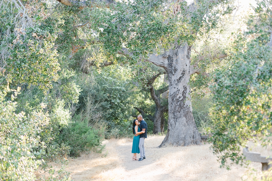 malibu engagement photos solstice canyon couple under tree