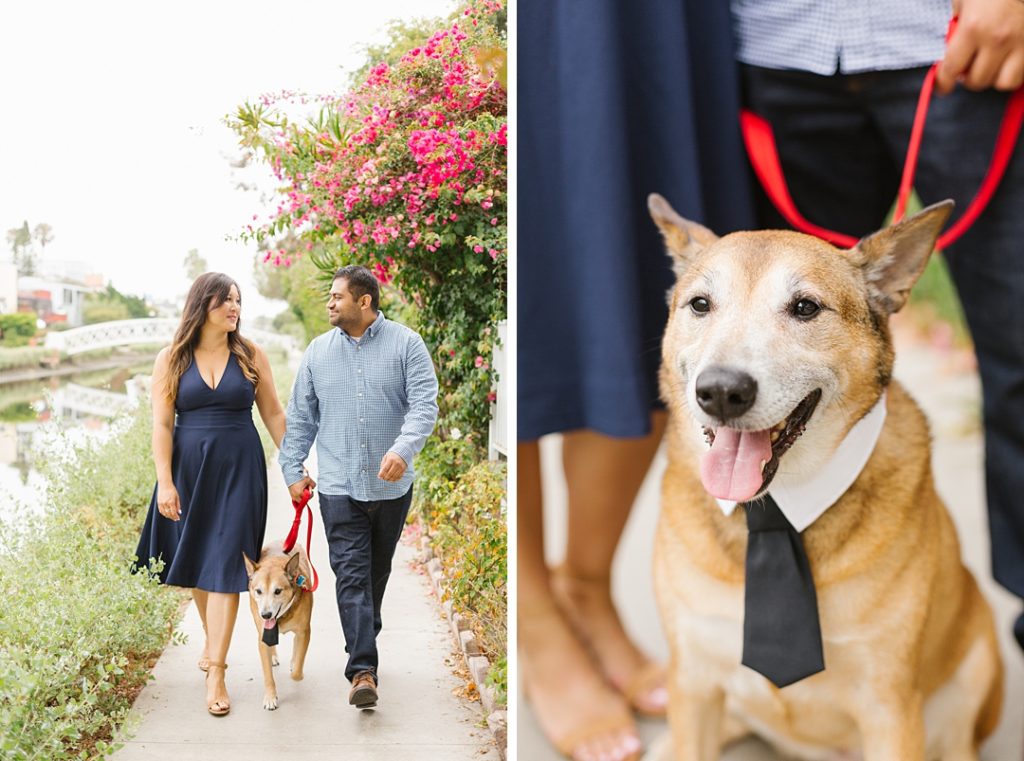 dog in tie for engagement photos