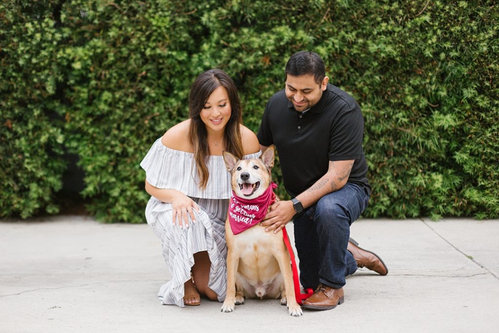 couple and their dog at los angeles engagement session